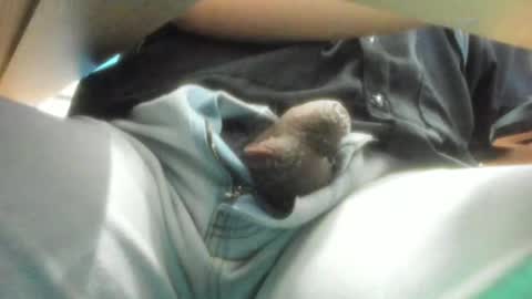 Salvador online show from 12-15-24, 09:13