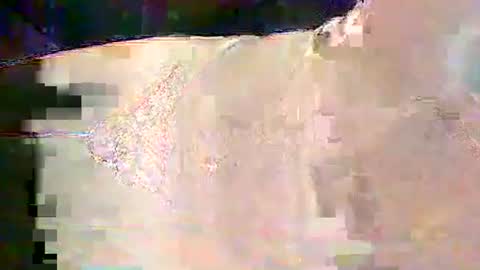 Snapshot of sam5554401727 chatting on 02-25-26, 06:28 sam5554401727 online show from 02-25-26, 06:28