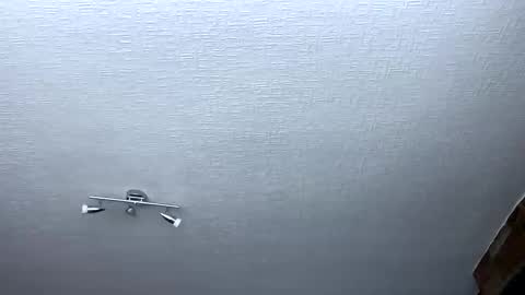 samegee online show from 10-06-25, 07:28