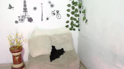 SAMIRA online show from 01-08-25, 01:42