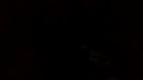 samjesss online show from 03-10-25, 02:28