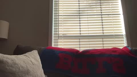 Playful Sammie online show from 01-18-26, 03:49