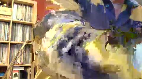 Snapshot of samsenior70 chatting on 11-08-25, 11:58 Sam online show from 11-08-25, 11:58