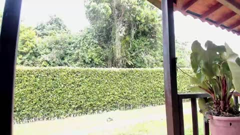 Snapshot of samuel_obrian chatting on 12-12-24, 06:42 Samuel online show from 12-12-24, 06:42