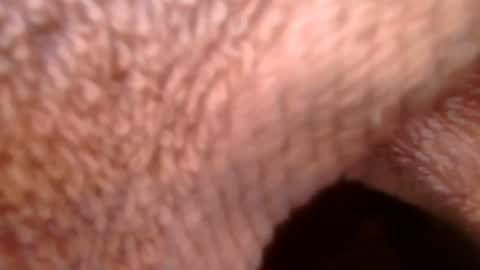 samueltal online show from 02-21-26, 09:21