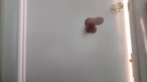 sanchezabsurdo online show from 10-06-25, 08:50