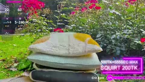 sansa_staark online show from 10-17-25, 07:44