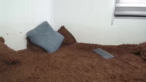 sara and thomas online show from 02-26-25, 09:27