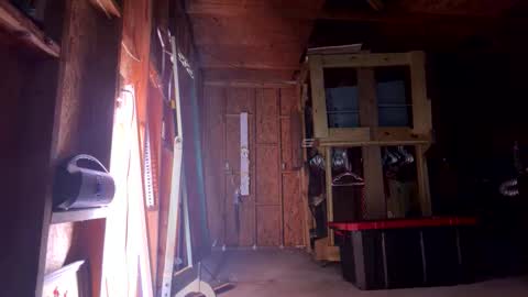 Sarrah Sweet online show from 03-08-26, 11:14