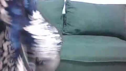 Snapshot of sarah_haggai chatting on 11-04-25, 04:11 sarah_haggai online show from 11-04-25, 04:11