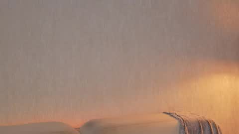       online show from 03-26-26, 11:32