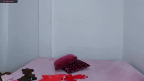 Snapshot of sarasweet_4 chatting on 03-05-25, 05:29 Sara   online show from 03-05-25, 05:29