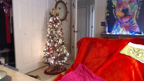 Snapshot of sassybeaver chatting on 01-01-25, 07:41 Trish online show from 01-01-25, 07:41