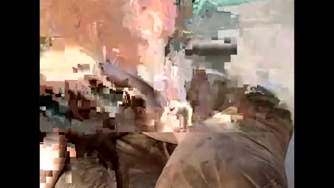 Snapshot of sassycedar chatting on 03-07-25, 11:27 Cedar online show from 03-07-25, 11:27