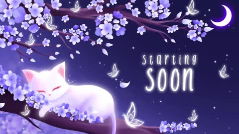 Snapshot of sassykittyn chatting on 01-03-25, 06:11 Sassy Sami Kittyn online show from 01-03-25, 06:11