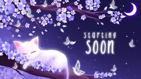 Snapshot of sassykittyn chatting on 03-10-25, 05:11 Sassy Sami Kittyn online show from 03-10-25, 05:11