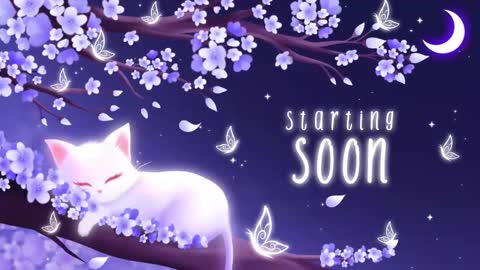 Snapshot of sassykittyn chatting on 09-22-25, 05:31 Sassy Sami Kittyn online show from 09-22-25, 05:31