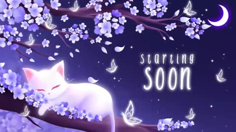 Snapshot of sassykittyn chatting on 10-21-25, 05:08 Sassy Sami Kittyn online show from 10-21-25, 05:08