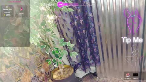 Snapshot of sassylatin45 chatting on 01-12-25, 01:21 sassylatin45 online show from 01-12-25, 01:21