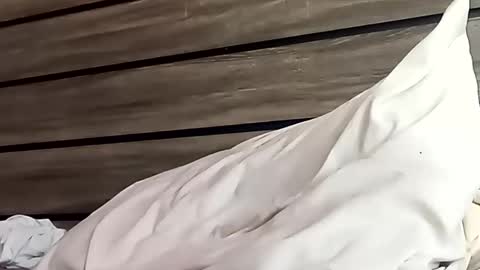 SnowBunny online show from 01-24-25, 06:46