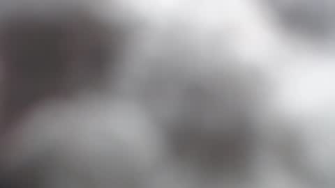 Snapshot of savagebarbie01 chatting on 11-02-25, 10:06 savagebarbie01 online show from 11-02-25, 10:06