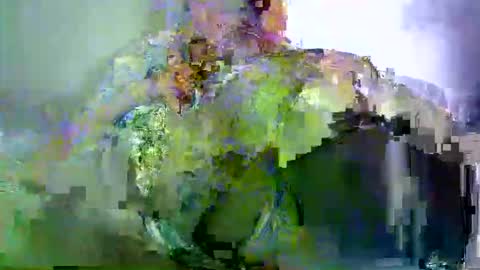 savagetonguee online show from 03-29-26, 03:28