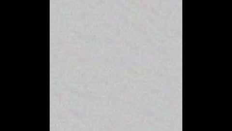 Venus online show from 10-19-25, 04:07