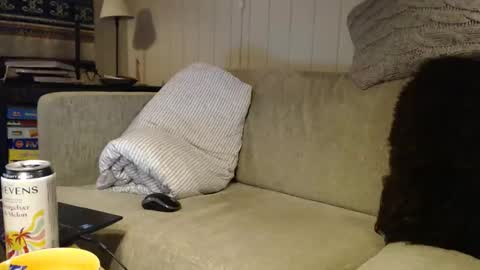 Scand online show from 03-01-26, 12:12