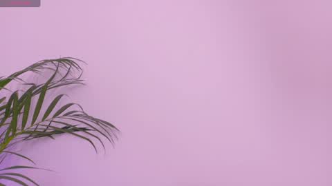 Scarlet online show from 07-14-26, 11:38
