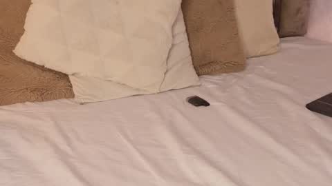 Scarleth  online show from 10-16-25, 06:14