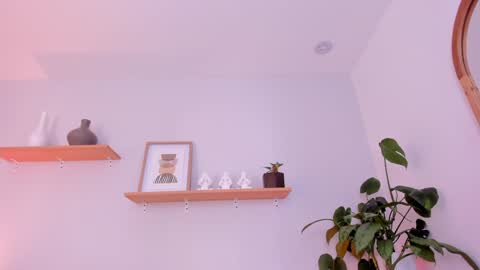 Scarlett Morgan online show from 01-15-25, 09:51