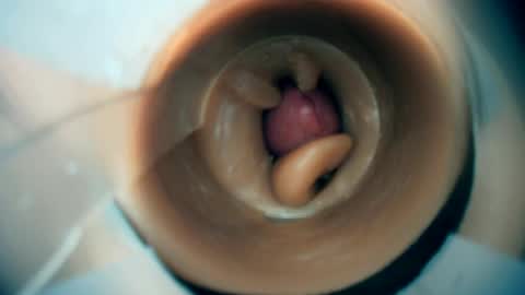 Scarr online show from 03-01-26, 08:00