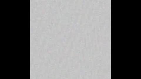 Scolw  online show from 12-03-25, 11:19