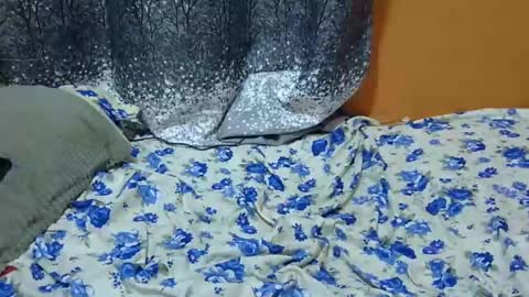 Its Lilly online show from 01-24-25, 03:11