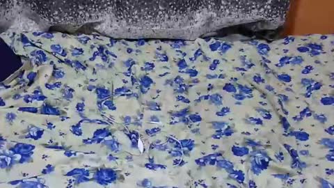 Its Lilly online show from 01-27-25, 07:03