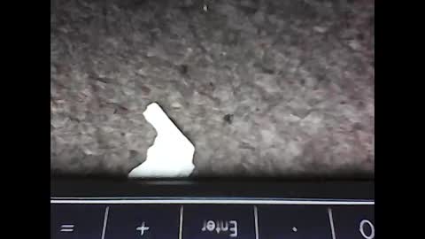 scots_repeater online show from 02-14-25, 12:09