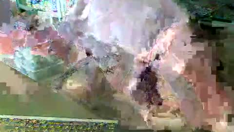 Snapshot of scotthard chatting on 03-14-26, 06:57 scotthard online show from 03-14-26, 06:57