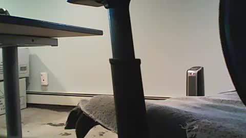 Snapshot of scottie813 chatting on 12-12-24, 08:32 scottie813 online show from 12-12-24, 08:32