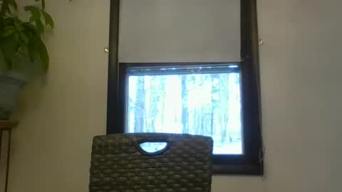 scottpbi52 online show from 01-02-25, 05:39