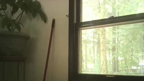 scottpbi52 online show from 09-28-25, 05:29