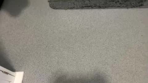 Snapshot of scottyc48 chatting on 10-05-25, 02:04 scottyc48 online show from 10-05-25, 02:04