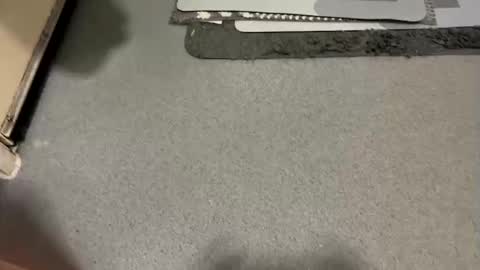 scottyc48 online show from 12-19-25, 07:48