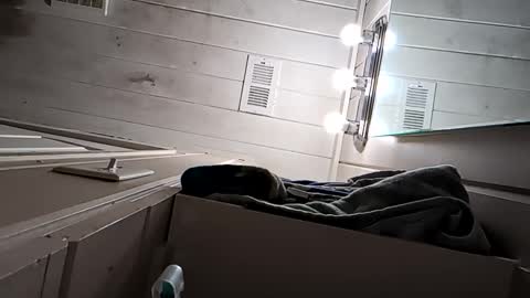 Arin online show from 04-22-26, 09:55