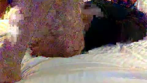 dick online show from 02-01-25, 12:16