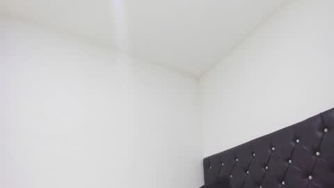 Snapshot of sebastian_dash chatting on 02-26-25, 01:21 SEBAS  online show from 02-26-25, 01:21