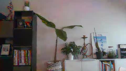 sebix9206 online show from 02-13-25, 08:27