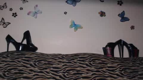 Emily online show from 09-25-25, 08:01