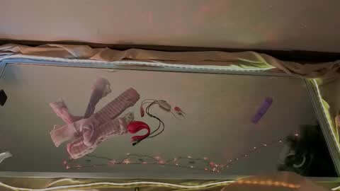 Mali online show from 01-15-26, 09:58