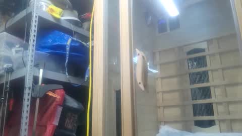 Seeker online show from 10-26-25, 11:09