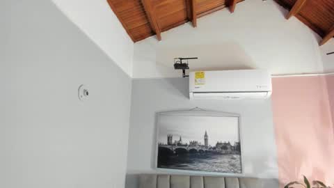 Selene online show from 01-17-26, 04:06